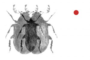 Logo Jana Lottenburger